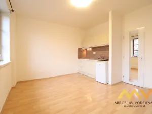 Pronájem bytu 1+kk, Hradec Králové, Dlouhá, 28 m2