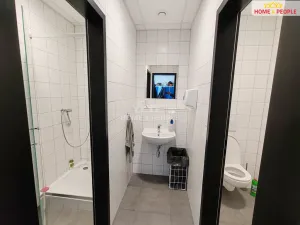 Pronájem skladu, Ostrov - Dolní Žďár, 4400 m2