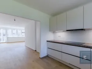 Prodej rodinného domu, Písek, Na Pakšovce, 228 m2