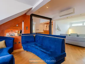 Prodej atypického bytu, Znojmo, Alšova, 310 m2