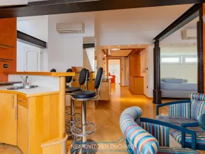 Prodej atypického bytu, Znojmo, Alšova, 310 m2