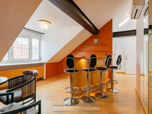 Prodej atypického bytu, Znojmo, Alšova, 310 m2