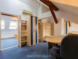 Prodej atypického bytu, Znojmo, Alšova, 310 m2