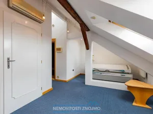 Prodej atypického bytu, Znojmo, Alšova, 310 m2