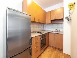 Prodej bytu 1+kk, Brno, Francouzská, 30 m2