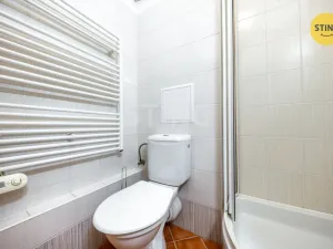 Prodej bytu 1+kk, Brno, Francouzská, 30 m2