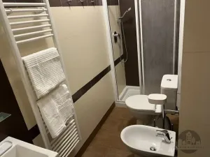 Pronájem bytu 2+kk, Praha - Vinohrady, Slavíkova, 47 m2