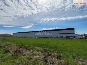 Pronájem skladu, Ostrov, 4400 m2