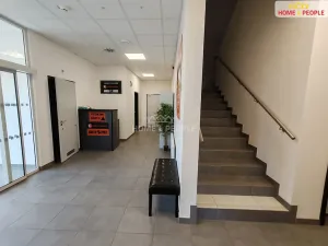 Pronájem skladu, Ostrov, 4400 m2