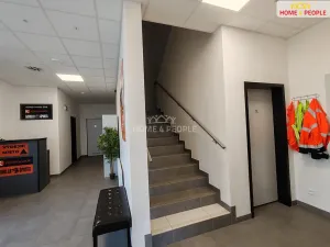 Pronájem skladu, Ostrov, 4400 m2
