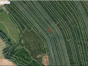 Prodej lesa, Janovice nad Úhlavou, 4786 m2