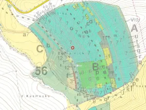 Prodej lesa, Janovice nad Úhlavou, 4786 m2
