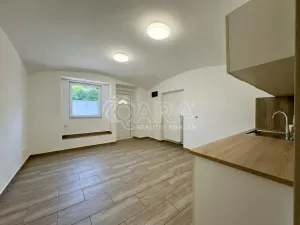 Pronájem obchodního prostoru, Ústí nad Labem - Krásné Březno, Podmokelská, 75 m2