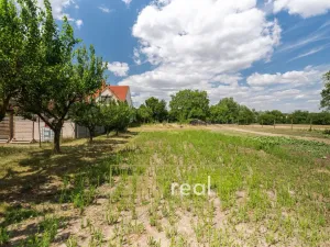 Prodej pozemku pro bydlení, Prušánky, 755 m2