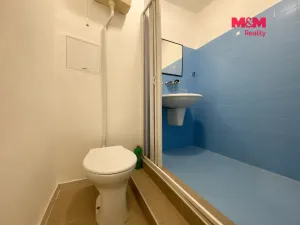 Pronájem bytu 1+kk, Ostrava - Poruba, Sokolovská, 28 m2