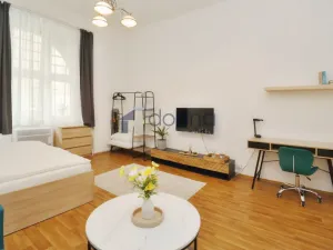 Pronájem bytu 1+kk, Praha, Slezská, 30 m2
