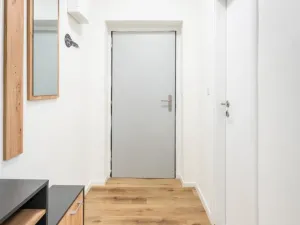 Prodej bytu 2+kk, Ostrava - Mariánské Hory, Cottonové, 37 m2