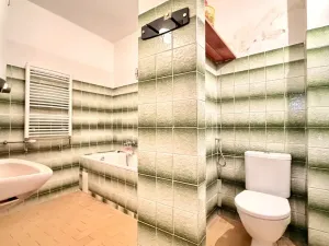 Prodej rodinného domu, Planá, Na Příkopech, 180 m2