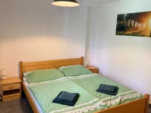 Prodej rodinného domu, Lipová-lázně - Horní Lipová, 320 m2