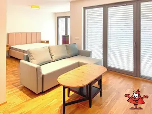 Pronájem bytu 2+kk, Praha - Karlín, Breitfeldova, 61 m2