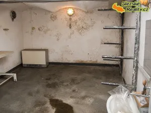 Pronájem skladu, Ostrava, 160 m2