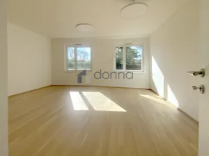 Pronájem bytu 1+kk, Praha, Na Viktorce, 39 m2