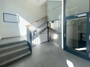 Pronájem bytu 1+kk, Praha, Na Viktorce, 39 m2
