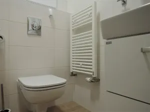 Pronájem bytu 1+kk, Brno, Hrázka, 37 m2