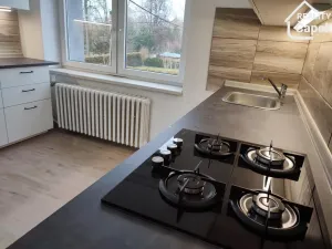 Pronájem bytu 2+1, Ostrava, Dalimilova, 55 m2