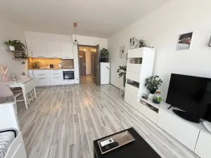 Pronájem bytu 1+kk, Rajhrad, Masarykova, 42 m2