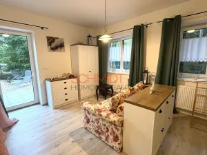 Pronájem bytu 1+kk, Hustopeče, Brněnská, 38 m2