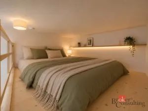Prodej bytu 2+kk, Ostrava - Přívoz, Palackého, 51 m2