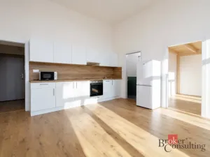 Prodej bytu 2+kk, Ostrava - Přívoz, Palackého, 51 m2