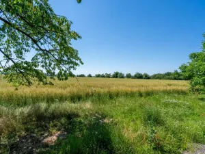 Prodej pozemku pro bydlení, Stěžery, Polní, 14692 m2