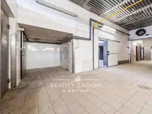 Prodej rodinného domu, Koleč, 940 m2