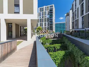 Prodej bytu 2+kk, Praha - Žižkov, Olgy Havlové, 53 m2