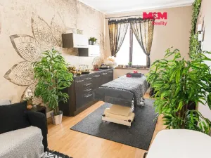 Pronájem bytu 2+kk, Strakonice - Strakonice I, Palackého náměstí, 55 m2