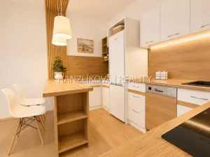 Prodej bytu 2+kk, České Budějovice - České Budějovice 2, Dlouhá, 45 m2