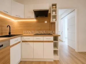 Prodej bytu 2+kk, České Budějovice - České Budějovice 2, Dlouhá, 45 m2