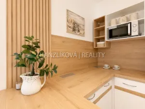Prodej bytu 2+kk, České Budějovice - České Budějovice 2, Dlouhá, 45 m2