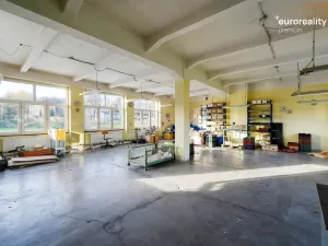 Prodej výrobních prostor, Plesná, Dlouhá, 2031 m2