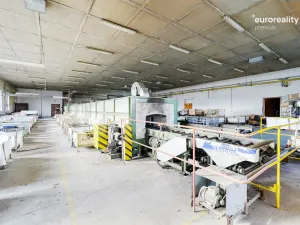 Prodej výrobních prostor, Plesná, Dlouhá, 2031 m2
