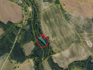 Prodej lesa, Běstvina, 1370 m2