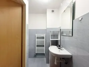 Pronájem bytu 1+1, Olomouc, 8. května, 31 m2