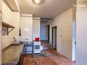Prodej rodinného domu, Velká Hleďsebe, Havlíčkova, 229 m2