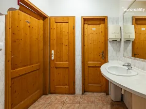 Prodej rodinného domu, Velká Hleďsebe, Havlíčkova, 229 m2