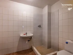 Prodej rodinného domu, Velká Hleďsebe, Havlíčkova, 229 m2