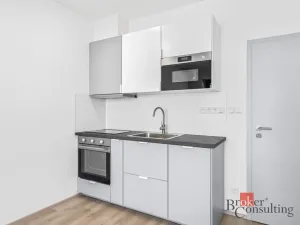 Pronájem bytu 1+kk, Plzeň - Jižní Předměstí, Železná, 33 m2