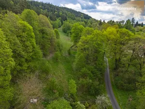 Prodej pozemku pro bydlení, Dolní Žandov, 1330 m2