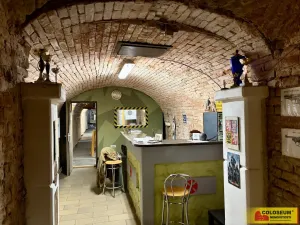 Pronájem komerční nemovitosti, Znojmo, 150 m2